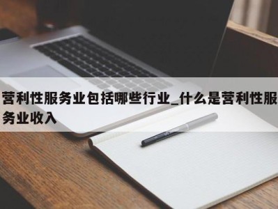 合肥营利性服务业包括哪些行业_什么是营利性服务业收入 