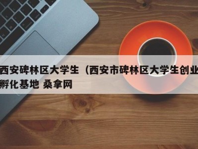 合肥西安碑林区大学生（西安市碑林区大学生创业孵化基地 桑拿网