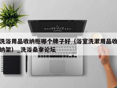 合肥洗浴用品收纳柜哪个牌子好（浴室洗漱用品收纳架）_洗浴桑拿论坛