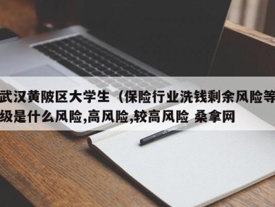 合肥武汉黄陂区大学生（保险行业洗钱剩余风险等级是什么风险,高风险,较高风险 桑拿网