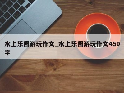 合肥水上乐园游玩作文_水上乐园游玩作文450字 