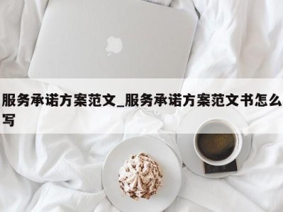 合肥服务承诺方案范文_服务承诺方案范文书怎么写 